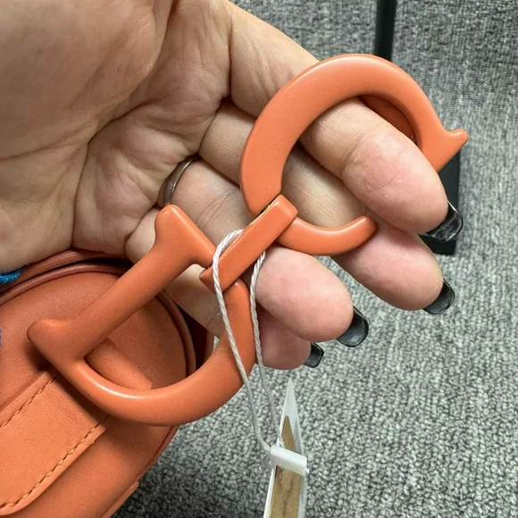 100% Authentic Dior Saddle Bag 1925-101524 - Picture 10 of 14